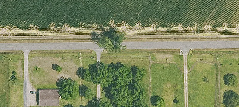 Timber Hunting Land