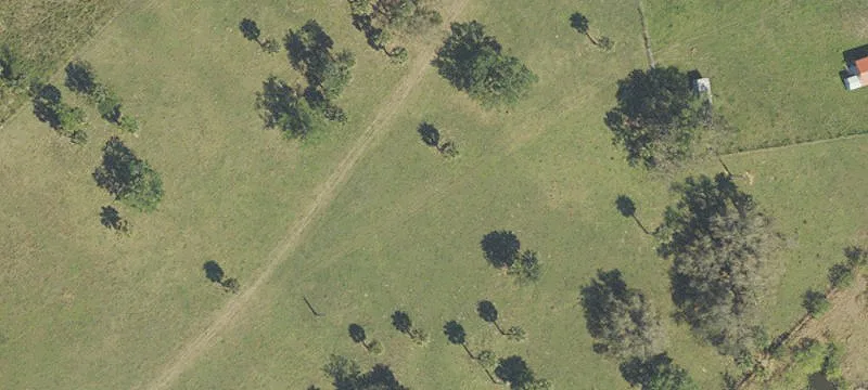 Fenced Agricultural Land