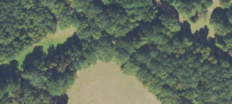 Recreational Timber Land Tract