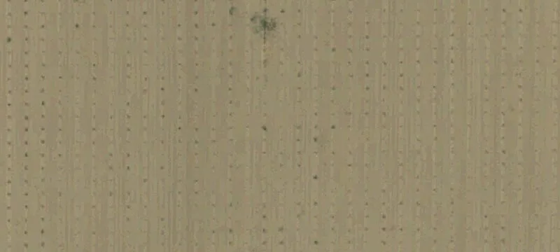 Irrigated Farmland with Water Assets