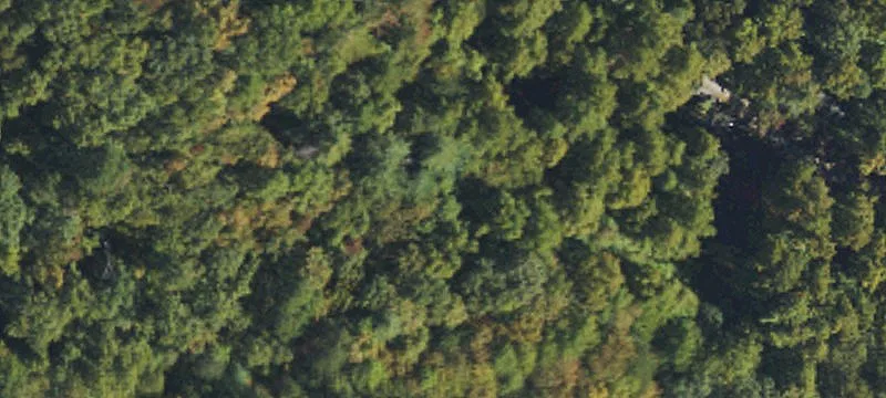 USFS-Bordering Recreation Land