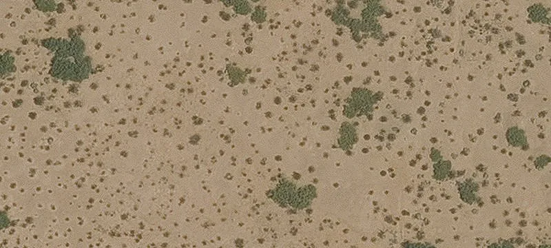 Desert Land for Custom Home