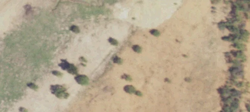 Recreational Hunting Land with Pond