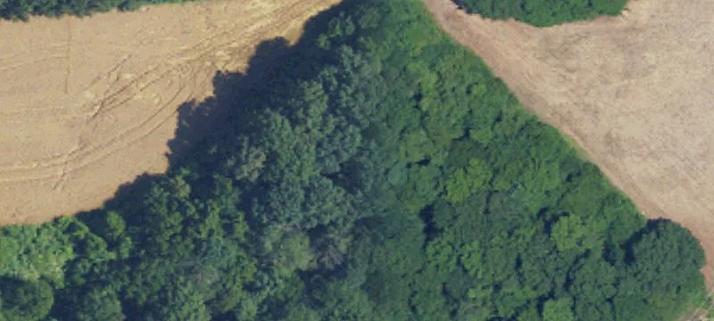 Wooded Residential Lot with Right-of-Way