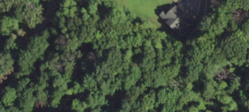 Wooded Cul-de-Sac Development Lots