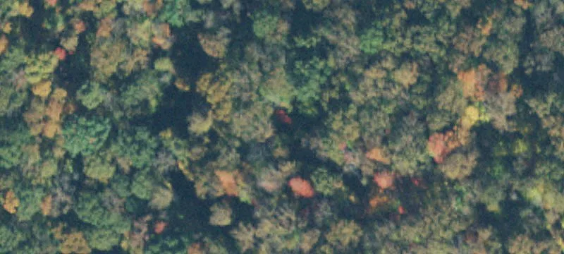 Private Build Site Land Tract