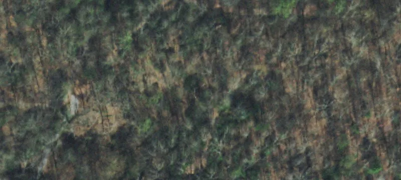 Wooded Mountain View Home Site