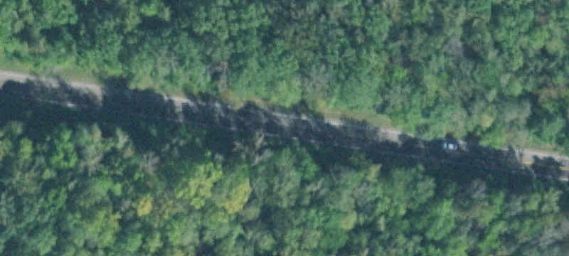 Unrestricted Wooded Land Parcel