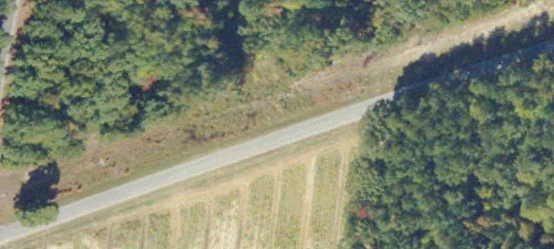 Timber and Hunting Land Tract