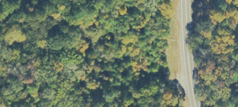 Wooded Industrial Land Parcel
