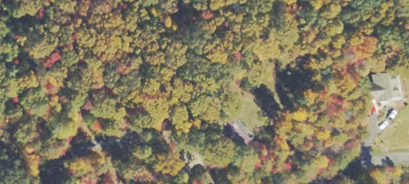 Residential Land Lot with Driveway