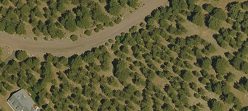 Rural Residential Lot with Ponderosa Trees