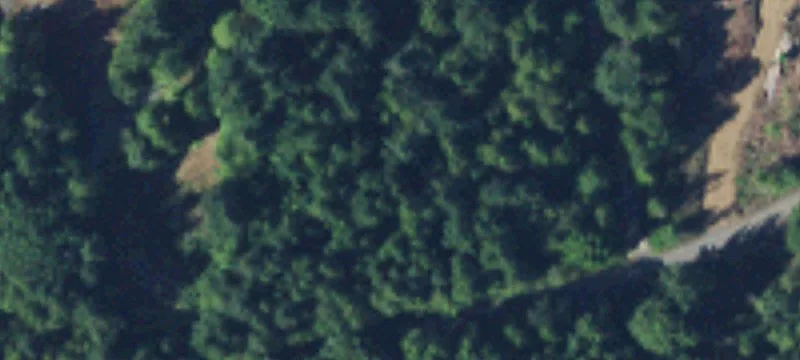 Wooded Waterfront Land Homesite