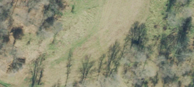 Rural Homesite with Creek Frontage