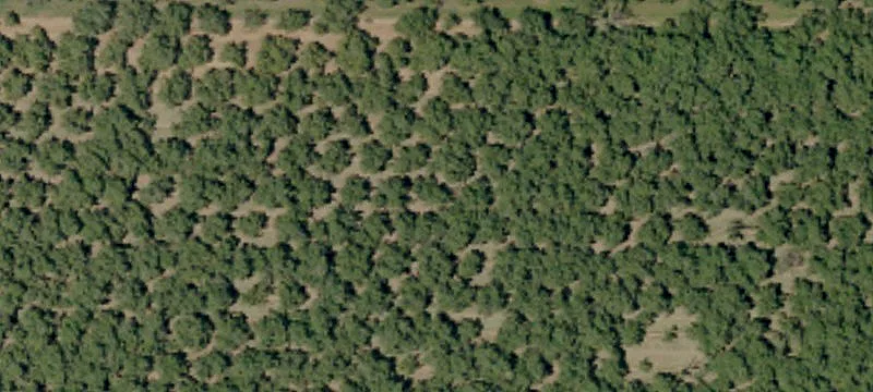 Producing Walnut Farm with River Frontage