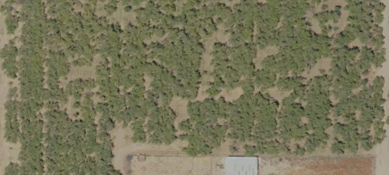 Custom Ranch with Almond Orchard