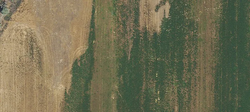 Farm