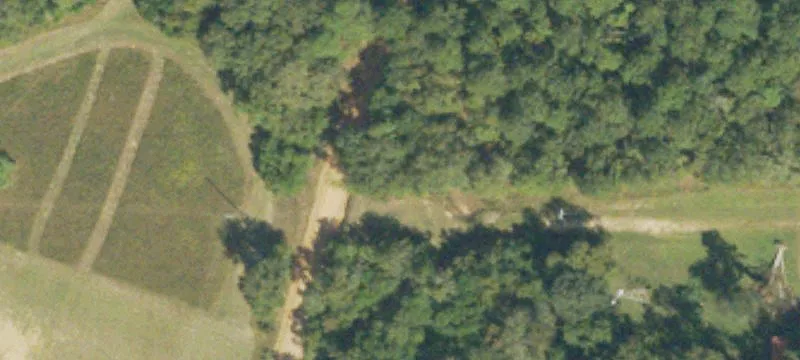 Working Cattle Farm Property