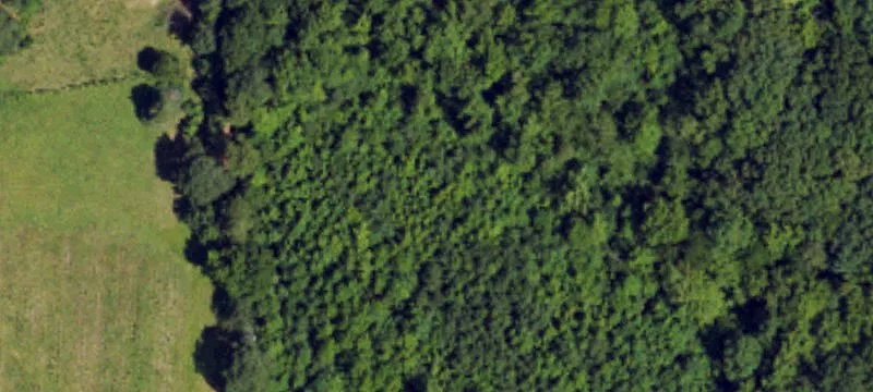 Wooded Residential Home Site