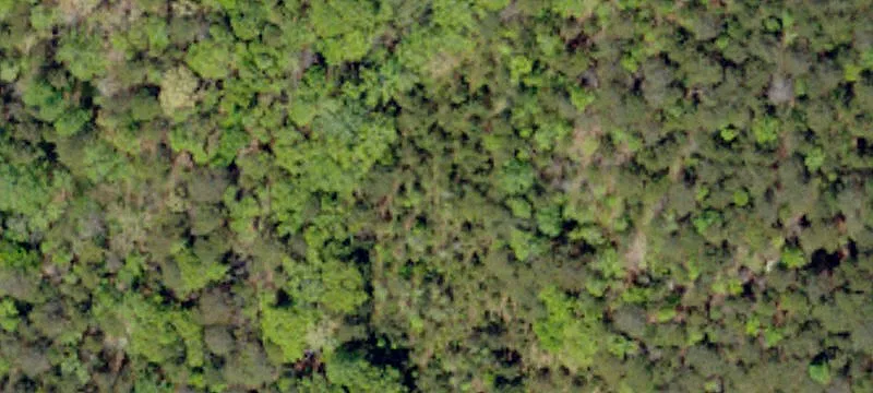 Development Land with Road Frontage