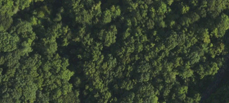 Residential Land Lots
