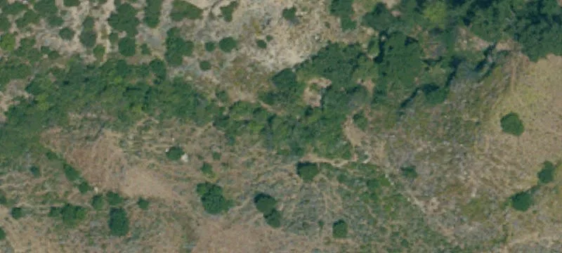Ranch with Water and Grazing Land