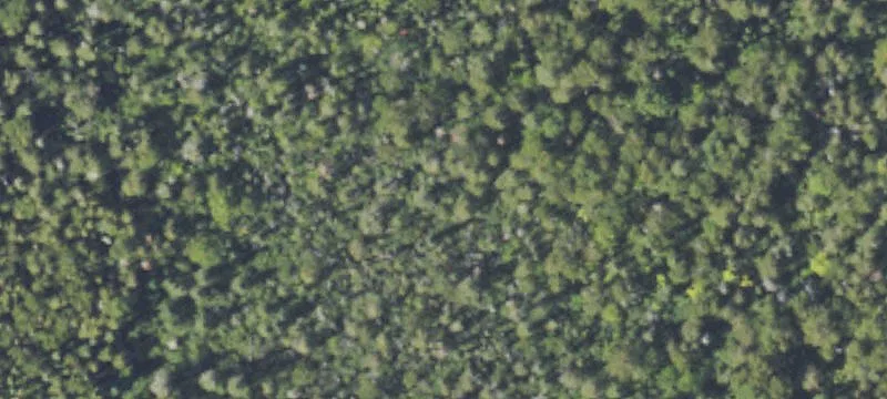 Wooded Waterfront Recreational Parcel