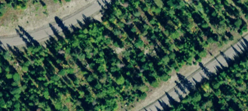 South-Facing Luxury View Lot