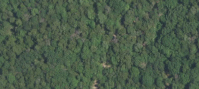 Secluded Wooded Acreage for Development