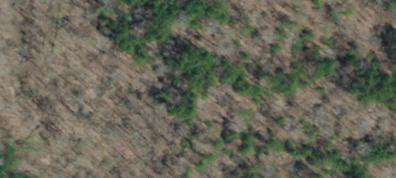 Lakefront Wooded Land Lot