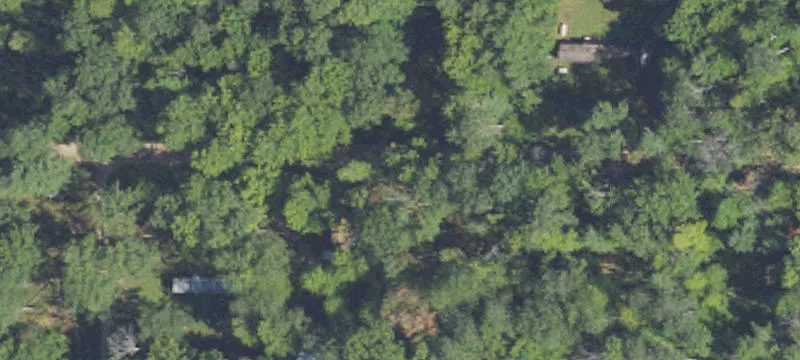 Wooded Residential Building Lot
