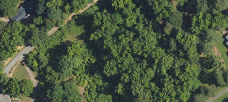 Secluded Wooded Home Building Lot