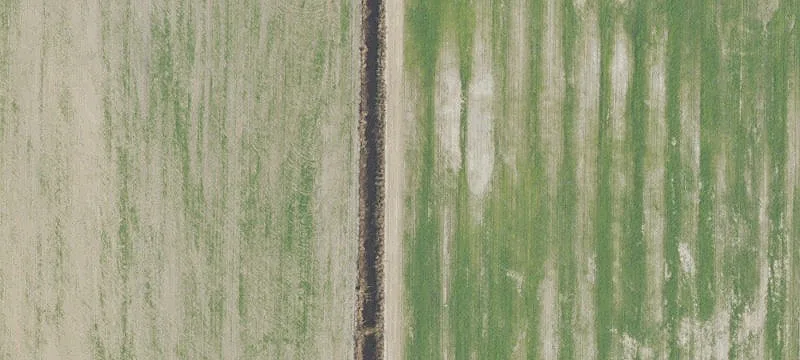 Cleared Agricultural Land Tract
