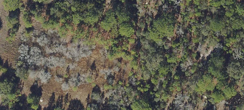 Vacant Land Parcel for Development