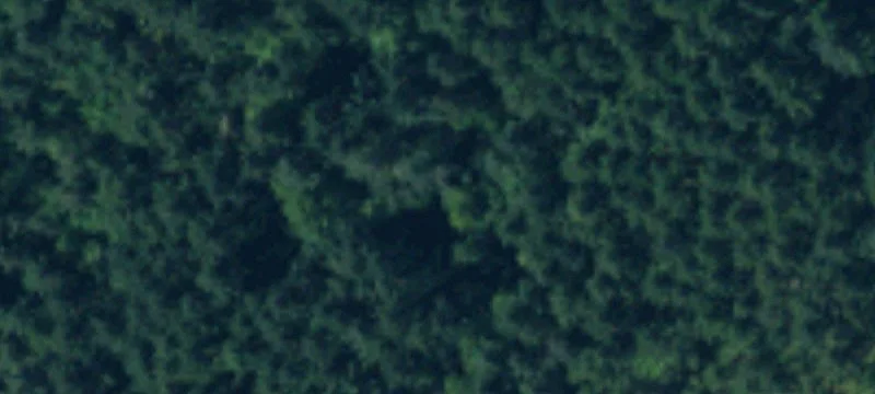 Zoned Development Timber Land