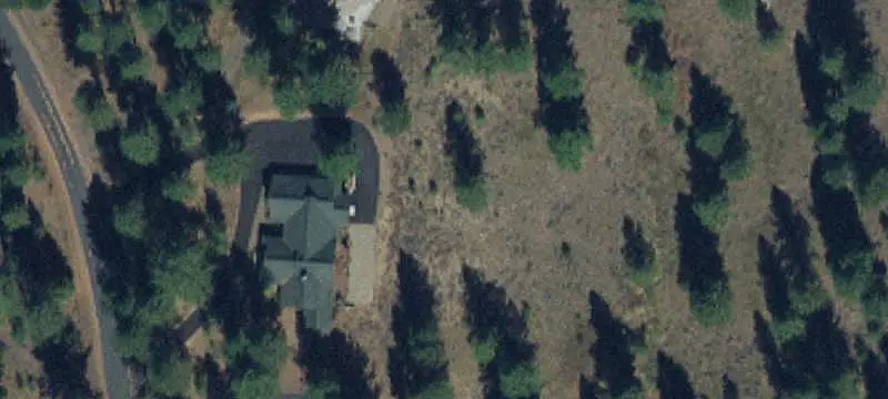 Wooded Homesite in Gated Subdivision