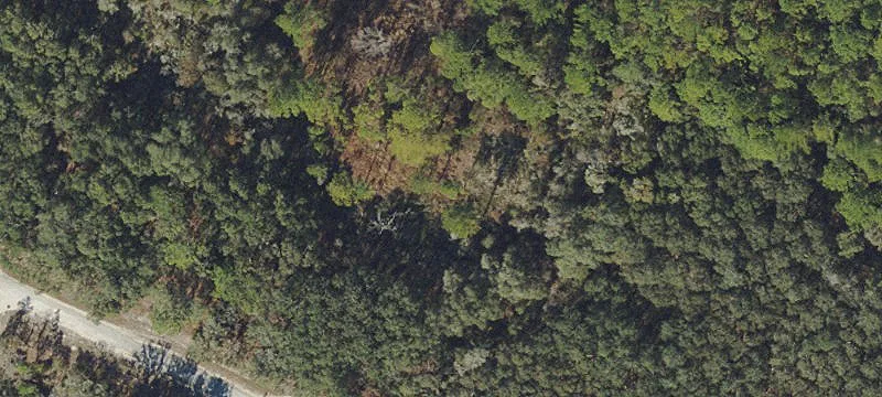 Residential Land Lot for Single Family