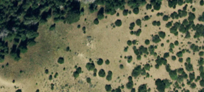 Vacant Land Acreage for Development