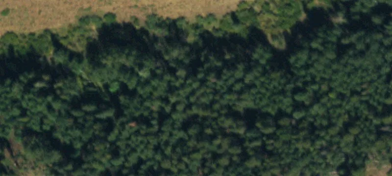 Wooded Mountain Land in Gated Subdivision