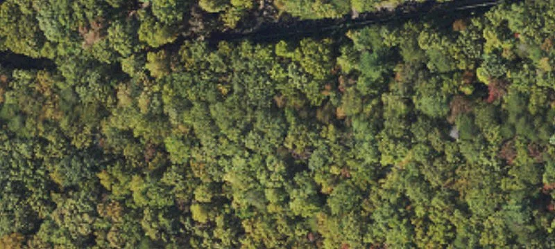 Wooded Residential Lot