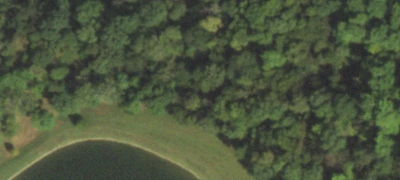 Residential Estate with Guest House