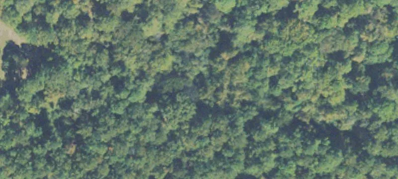 Wooded Residential Development Land