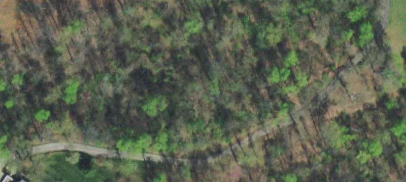 Wooded Residential Land Lot