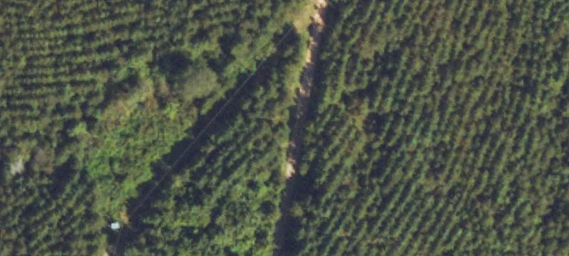 Forested Land Lot with Road Frontage