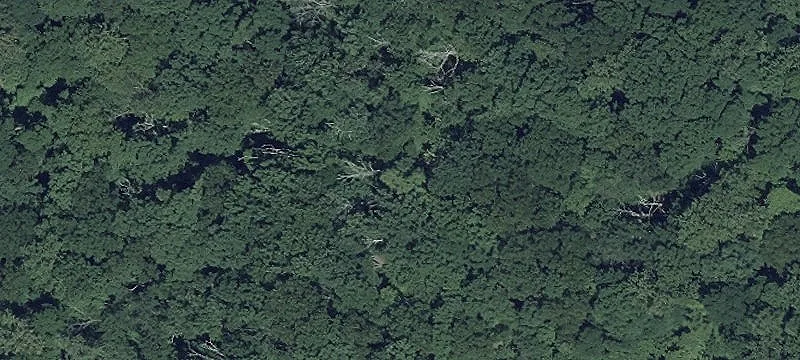 Privacy-Oriented Building Lot Tract