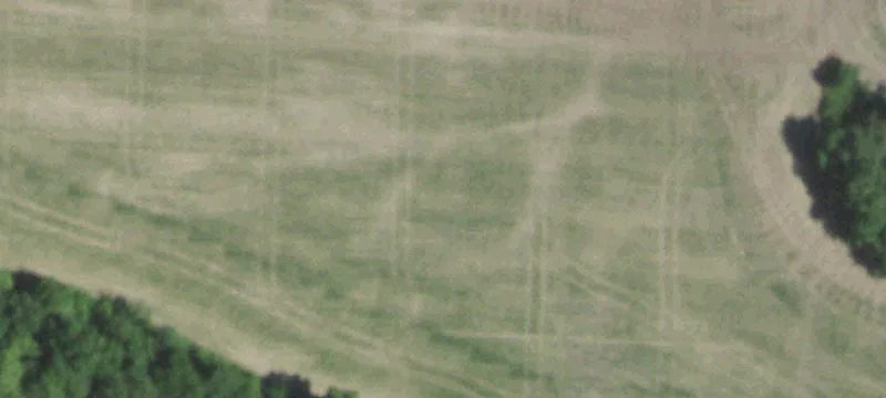 Residential Building Lot with Timber