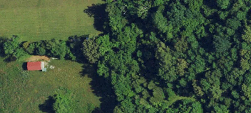 Hunting and Pasture Farm Land