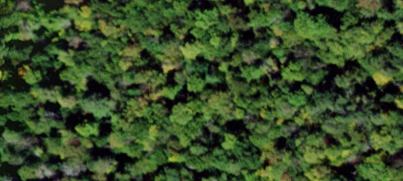 Development-Ready Acreage Parcel