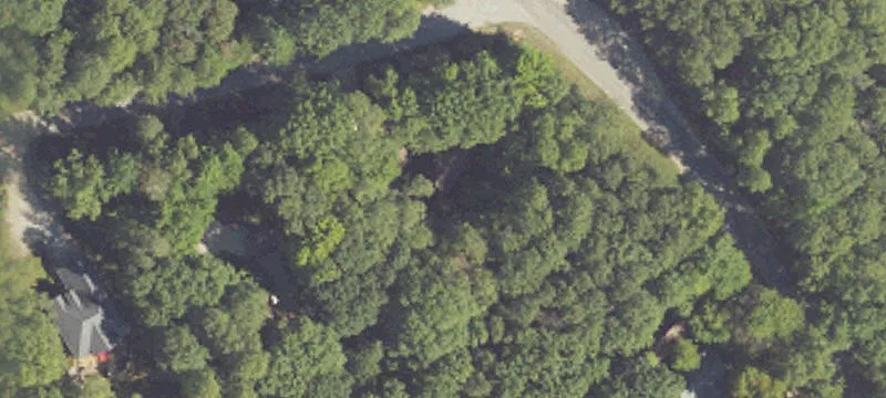 Wooded Residential Home Lot