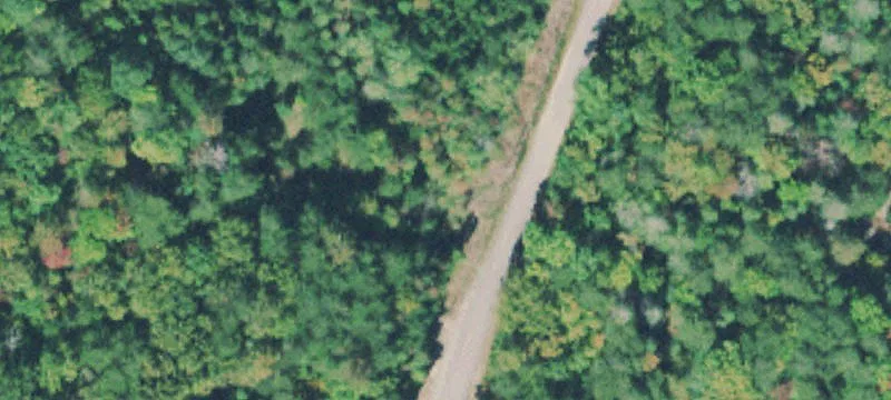 Wooded Hunting and Farm Land